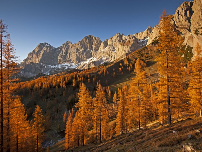 Herbsturlaub Ramsau Brandriedl Dachstein © Schladming-Dachstein_Herbert Raffalt